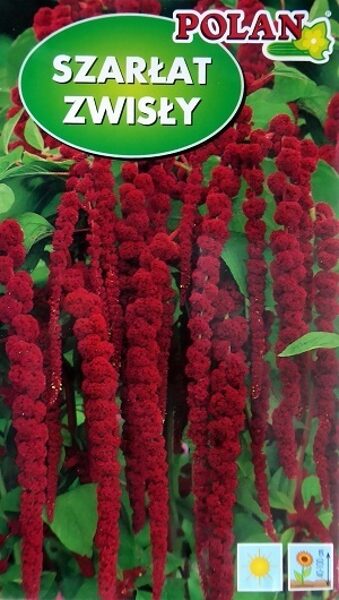 Astainais amarants SZARLAT ZWISLY 2 g Polan