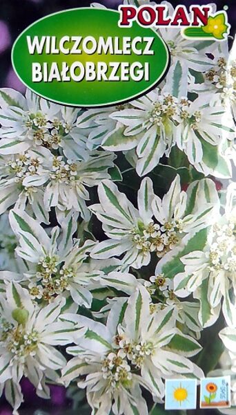 Apmaļu eiforbija 1 g Polan