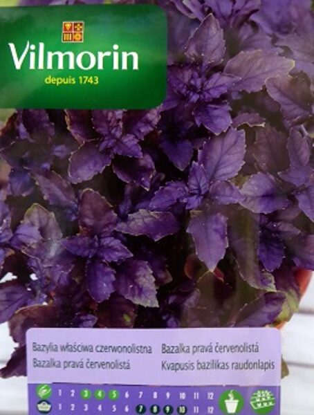 Sarkanlapu baziliks 500 mg Vilmorin