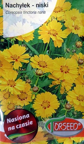 Krāsu brūnactiņa  Zloty Karzel 1 g Torseed A.P.