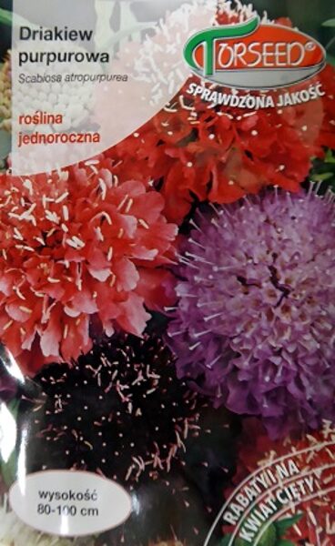 Purpura skabioza Driakiew purpurowa MIX 1 g Torseed