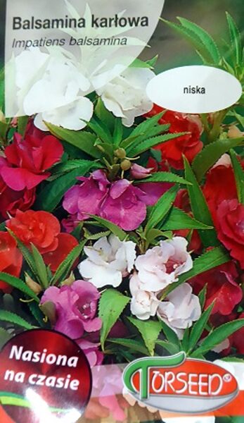 Balzamīnu sprigane Balsamina karlowa MIX 0.5 g Torseed  A.P.