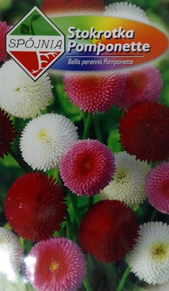 Pomponziedu mārpuķīte MIX 0.3 g Spojnia