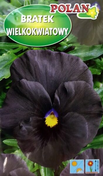 Atraitnītes lielziedu melnas 400 mg Polan A.P.