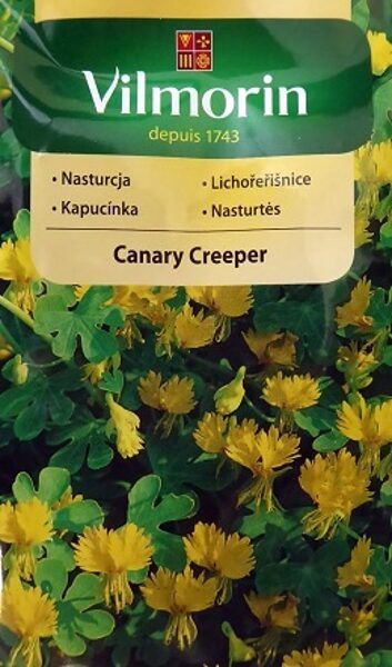 Spārnainā tunbergija (krese) Canary Creeper 2 g Vimorin