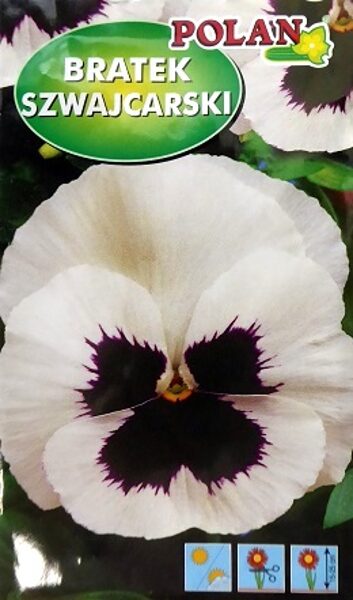 Atraitnītes SZWAJCARSKI baltas ar violetu 400 mg Polan