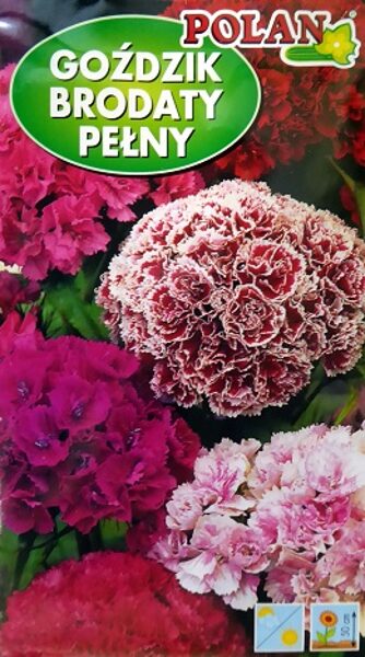 Studentu neļķes pildītās MIX 2 g Polan