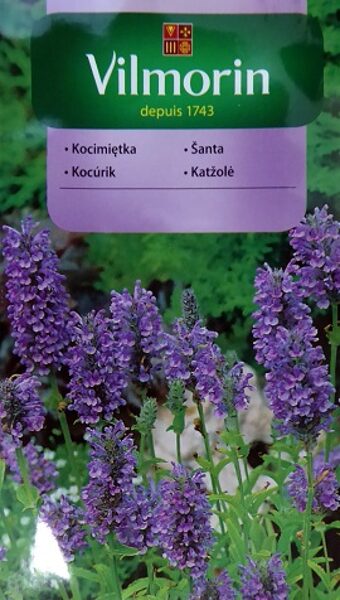 Musina jeb ķekarainā kaķumētra 500 mg Vilmorin