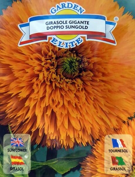 Saulespuķes pildītas GIGANTE DOPPIO SUNGOLD 1.7 g Galassi Sementi