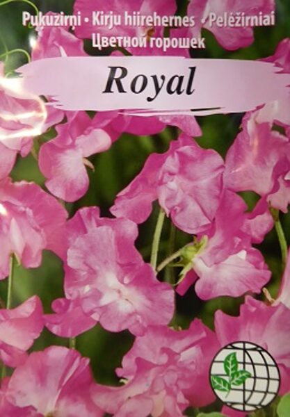 Puķuzirņi smaržīgie Royal gaiši rozā 2 g Agrimatco