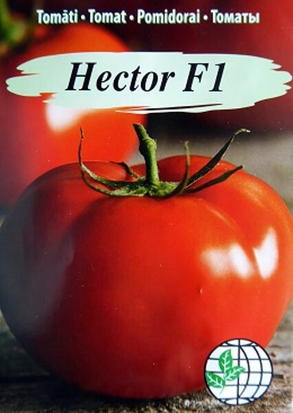 Tomāti HECTOR F1 10 gab Agrimatco