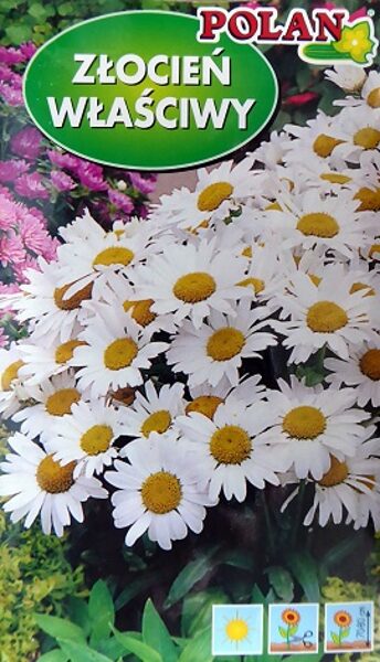 Lielziedu pīpenes baltās 1 g Polan