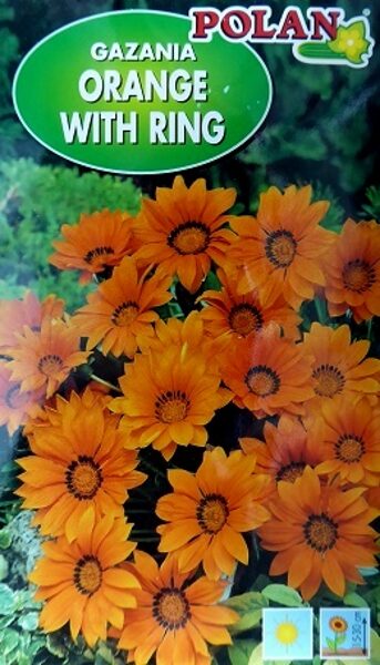 Spilgtā gazānija Orange with ring 15 gab Polan