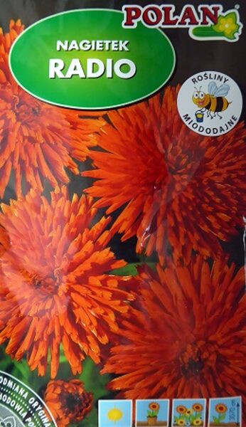 Ārstniecības kliņģerīte augstā RADIO 3 g Polan
