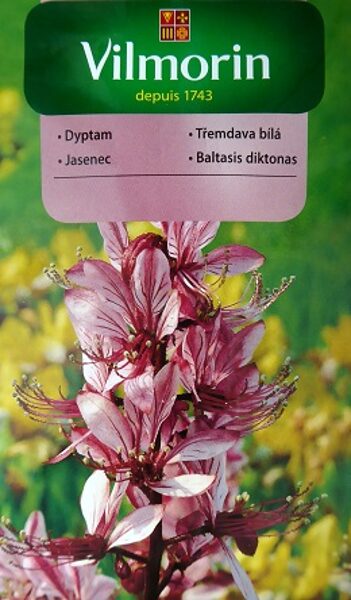 Diktamne rozā 200 mg Vilmorin