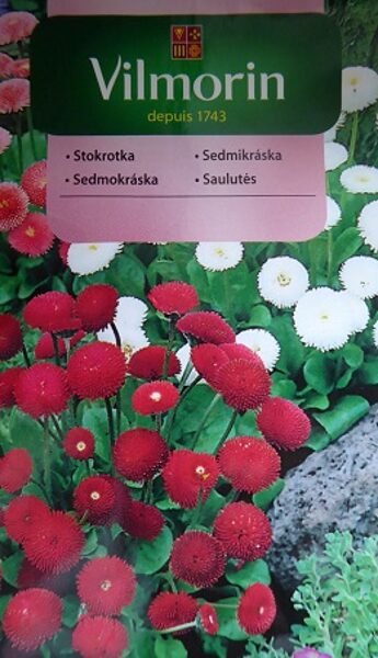 Pomponziedu mārpuķīte MIX 100 mg Vilmorin