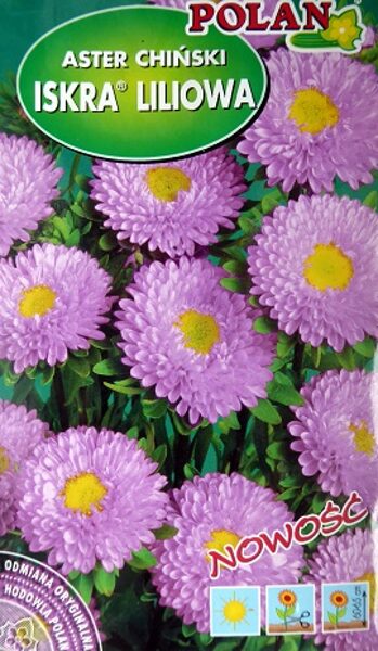 Asteres ISKRA LILIOWA 1 g Polan