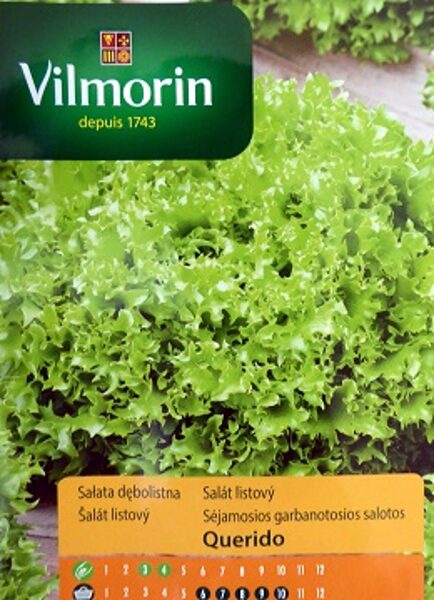 Salāti lapu Querido 500 mg Vilmorin