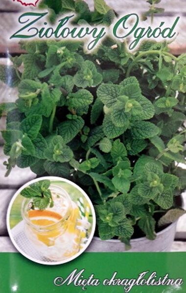 Piparmētra smaržīgā apaļlapu 0.1 g W.Legutko