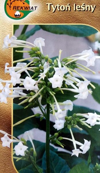 Meža puķutabaka  balta 1 g Rekwiat