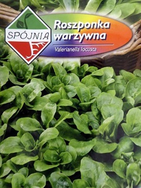 Salātu baldriņš Verte de Cambrai (Lauka salāti) 1 g SPOJNIA