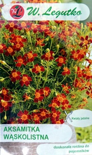 Šaurlapu samtene Red Gem 0.3 g W.Legutko A.P.