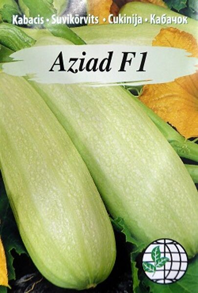 Kabači AZIAD F1 5 gab Agrimatco