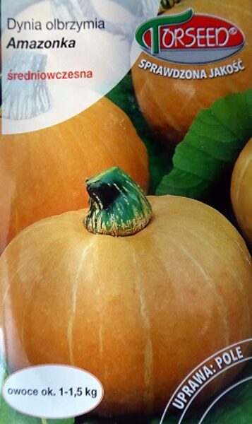 Ķirbji AMAZONKA 3 g Torseed