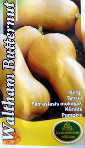 Ķirbji sviesta Waltham Butternut  2 g Kurzemes Sēklas