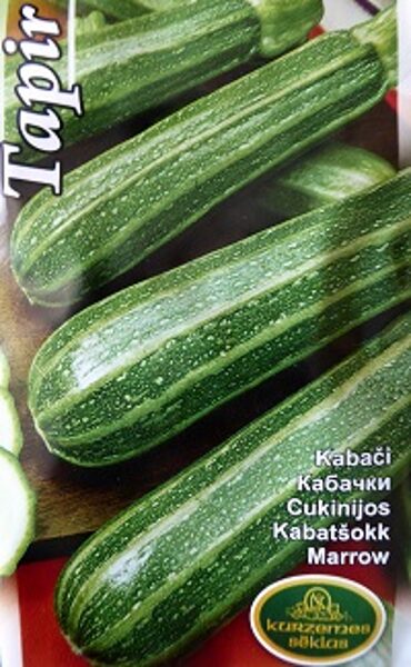 Kabacis TAPIR 2 g Kurzemes Sēklas