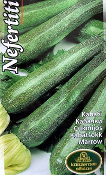 Kabacis Nefertiti 1 g Kurzemes Sēklas