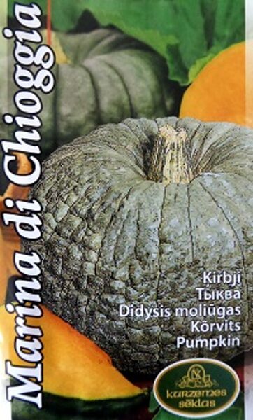 Ķirbji Marina di Chioggia 5 gab  Kurzemes Sēklas