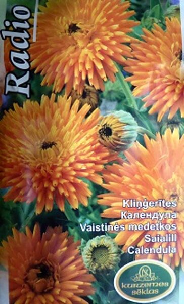 Ārstniecības kliņģerīte augstā RADIO 2 g Kurzemes Sēklas A.P.