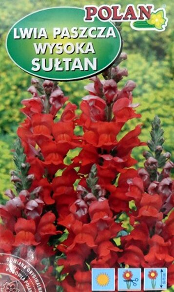 Lielās lauvmutītes SULTAN 500 mg Polan  A.P.