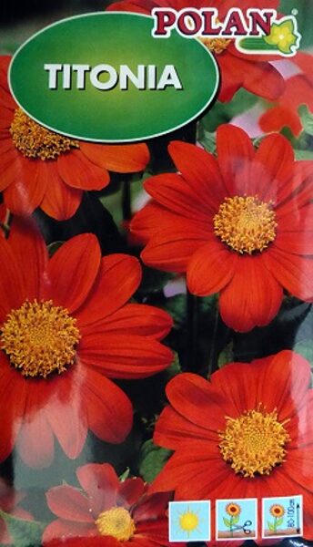 Apaļlapu titonija 1 g Polan