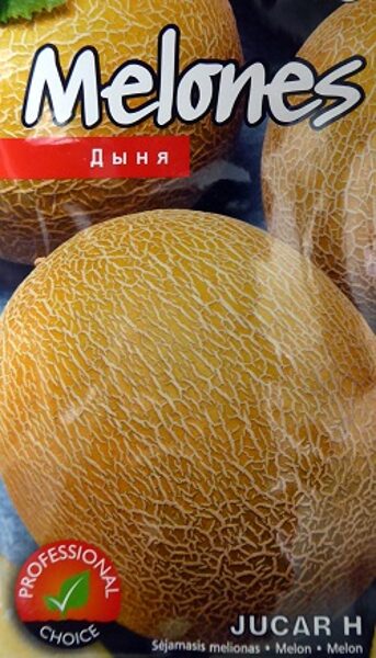 Melone JUCAR H F1  5 gab Kurzemes Sēklas