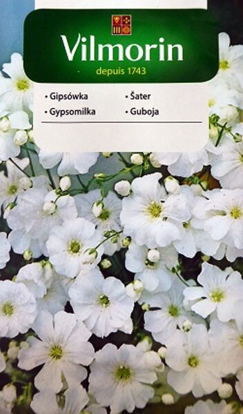 Gleznā ģipsene balta 5 g Vilmorin