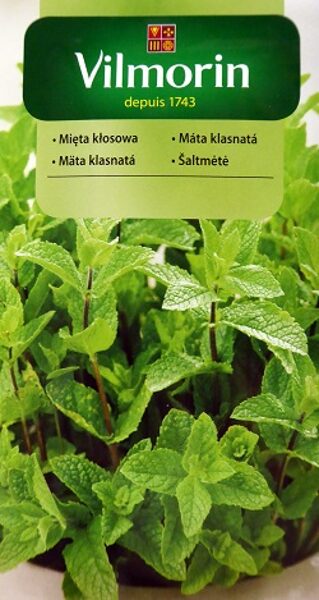  Krūzmētra 100 mg Vilmorin