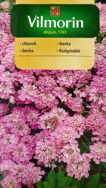 Čemuru ibēre ROSA CARDINAL  2 g Vilmorin