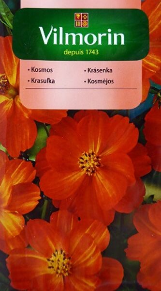 Sērdzeltenās kosmejas DIABLO oranžas 1 g Vilmorin