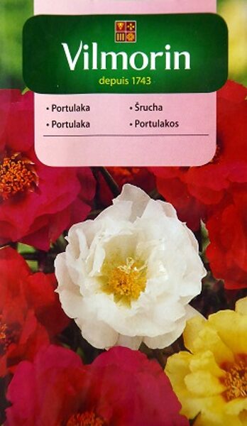 Lielziedu portulaka MIX 1 g Vilmorin