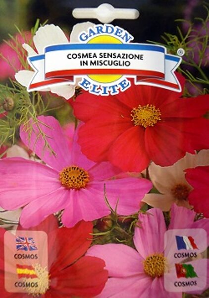 Divplūksnu kosmejas klajās Sensation MIX 2 g Galassi Sementi