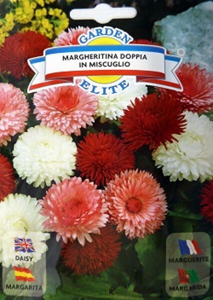 Mārpuķīte pildīta MIX 0.25 g Galassi Sementi