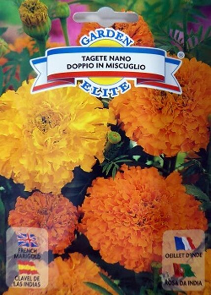 Samtenes zemās NANO DOPPIO MIX 1 g Galassi Sementi