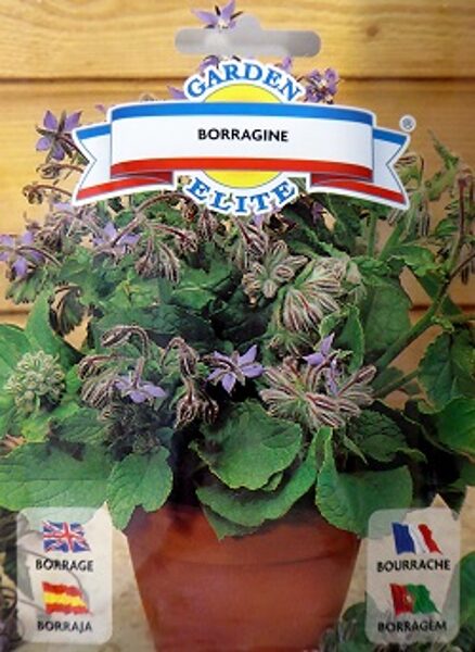 Gurķumētra 3 g Galassi Sementi