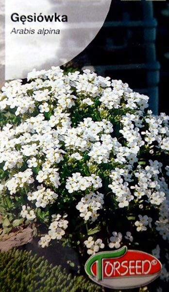 Alpu arābe 0.5 g Torseed