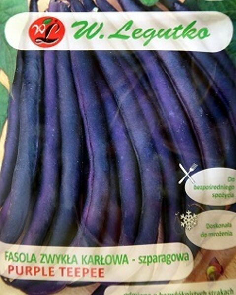 Sparģeļpupiņas zemās Purple Teepee 30+10 g  W.Legutko