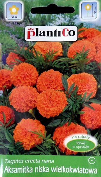 Samtenes zemās oranžas 1 g PlantiCo