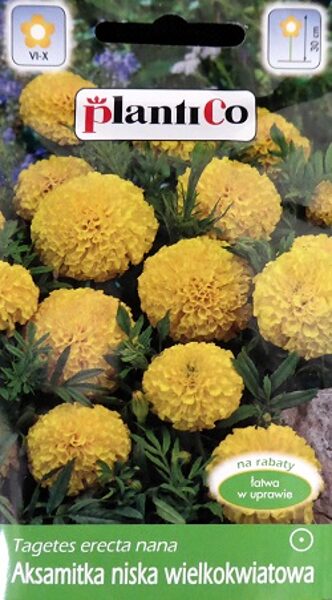 Samtenes zemās dzeltenas lielziedu 1 g PlantiCo A.P.