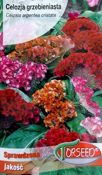 Sekstainā celozija zemā MIX 0.5 Torseed
